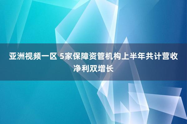 亚洲视频一区 5家保障资管机构上半年共计营收净利双增长